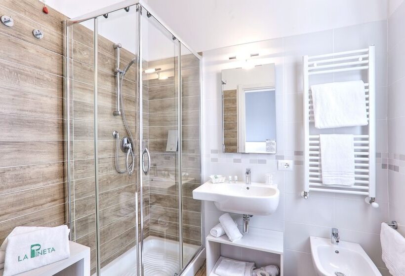 スタンダードルーム, La Pineta