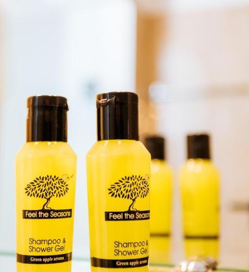 Standard Triple Room, Nikos