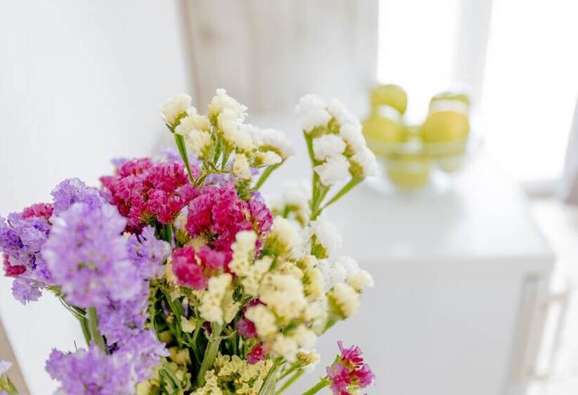 Standard Triple Room, Nikos