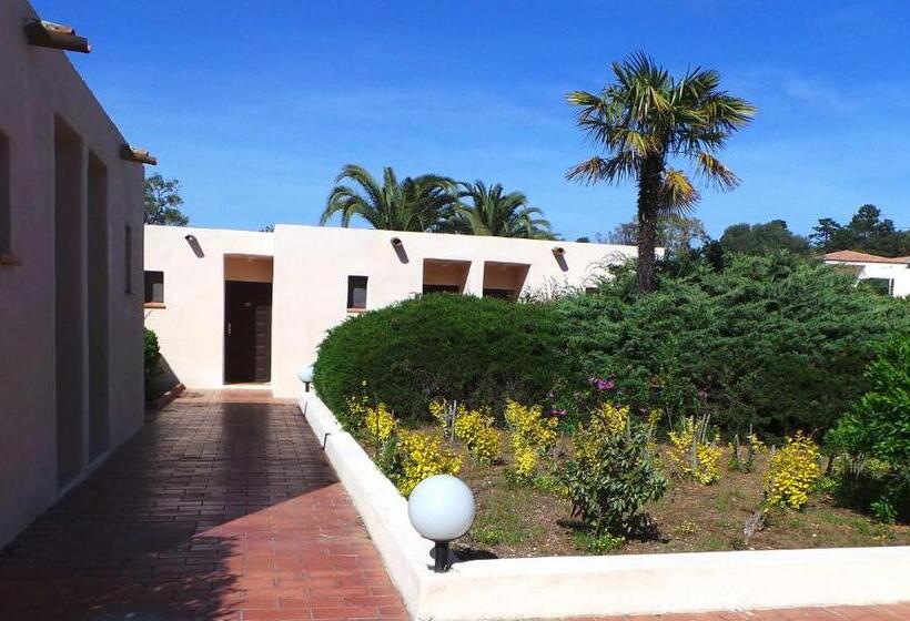 标准工作室, Olmuccio