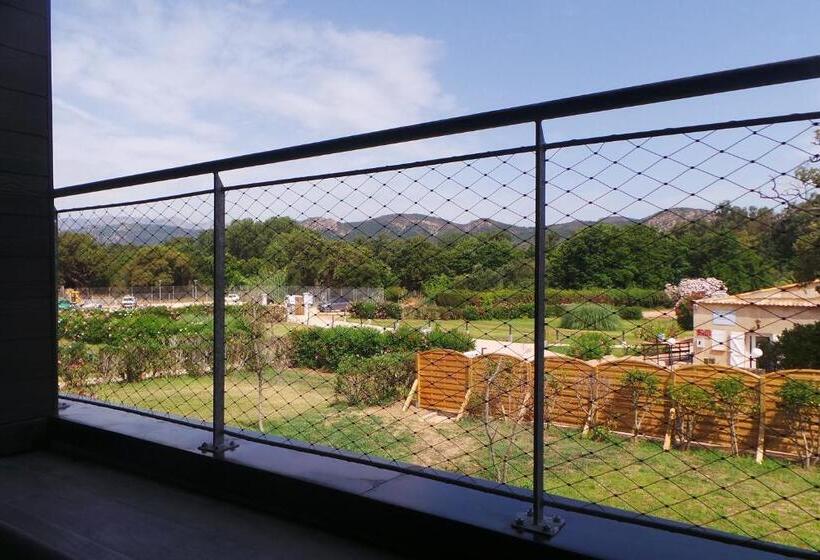 标准工作室, Olmuccio