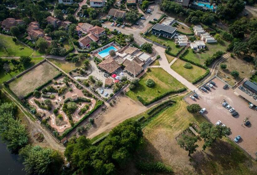 标准工作室, Olmuccio