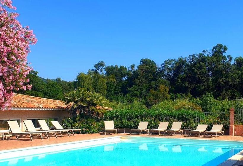 低层单卧公寓, Olmuccio