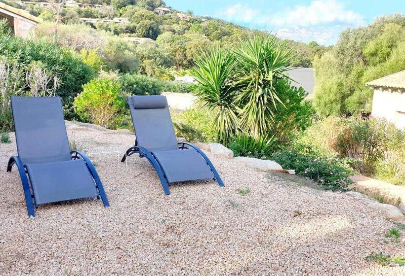 低层单卧公寓, Olmuccio