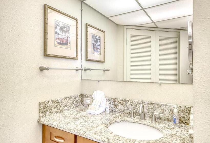 شقة غرفة واحدة, Kaanapali Shores 806