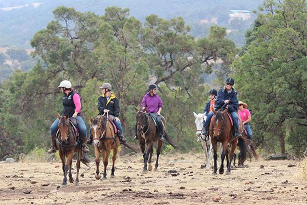 غرفة قياسية مطلّة علي الحديقة, Suite With Tv, Desk, And Private Bathroom