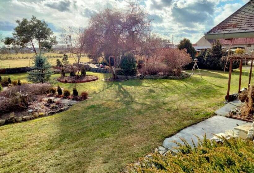 חדר סטנדרט, Pod Piramidą