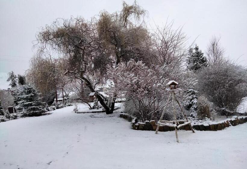 חדר סטנדרט, Pod Piramidą