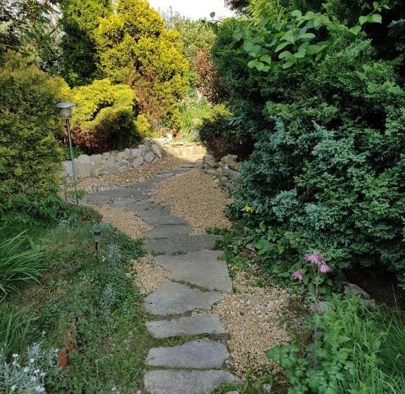 스탠다드 룸, Pod Piramidą