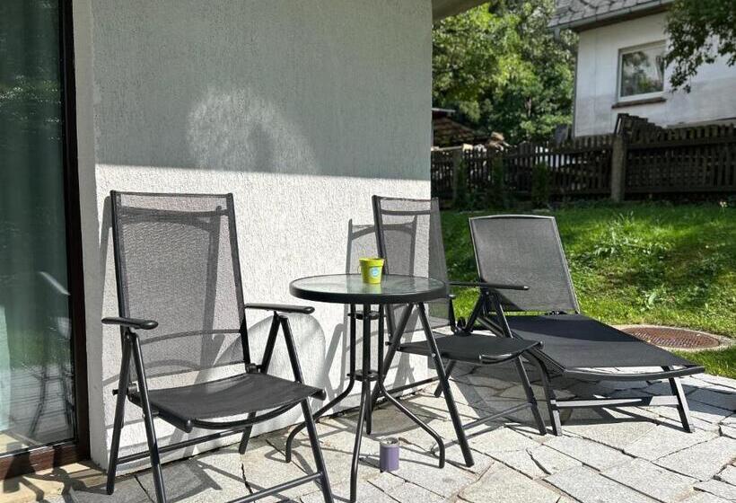 شقة غرفة نوم واحدة بالطابق الأرضى, Jeleni Ruczaj