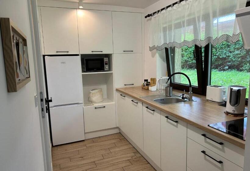 شقة غرفة نوم واحدة بالطابق الأرضى, Jeleni Ruczaj