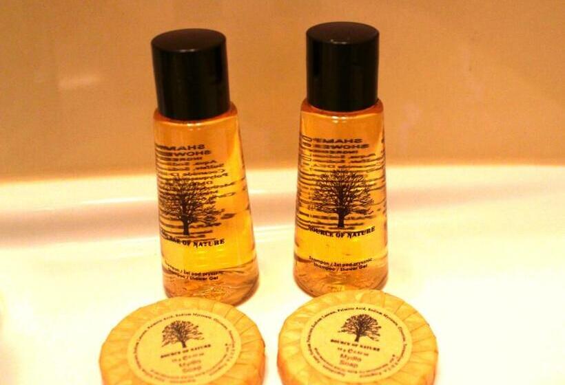 스탠다드 발코니 룸, Pod Bukami Chill&spa