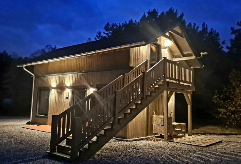 スタンダードルーム, Oberża Pod Złotym Prosiakiem