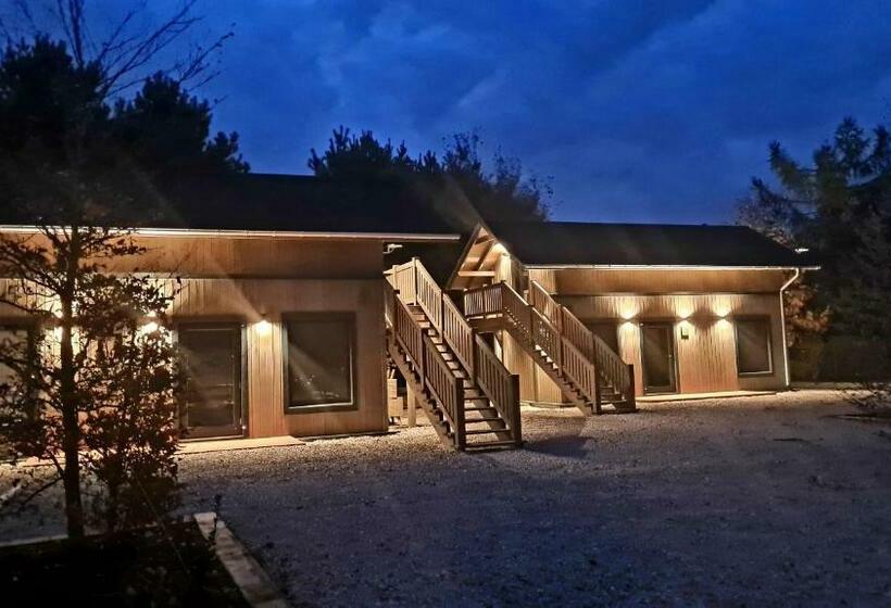 スタンダードルーム, Oberża Pod Złotym Prosiakiem