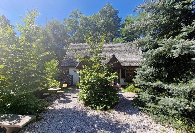 スタンダードルーム, Oberża Pod Złotym Prosiakiem