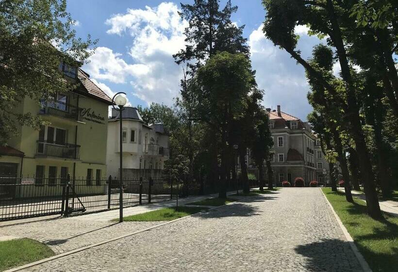 标准三人间, Antonina Pensjonprzykortach