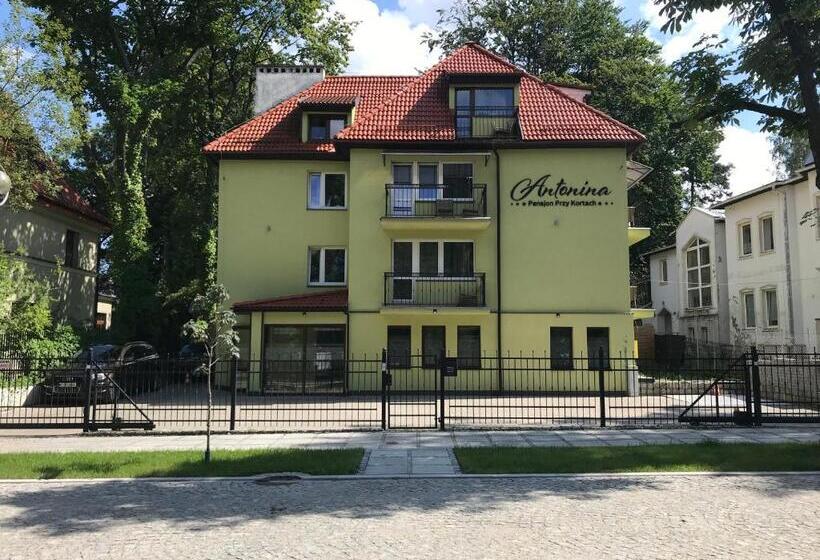 基本间, Antonina Pensjonprzykortach