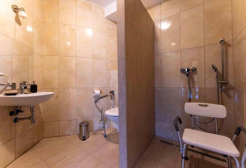 חדר סטנדרט מותאם לאדם עם מוגבלויות, Do Poduchy