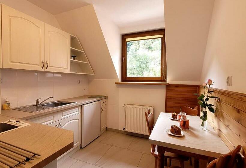 １ベッドルームのデラックスアパートメント, Rezydencja Leśny Dwór