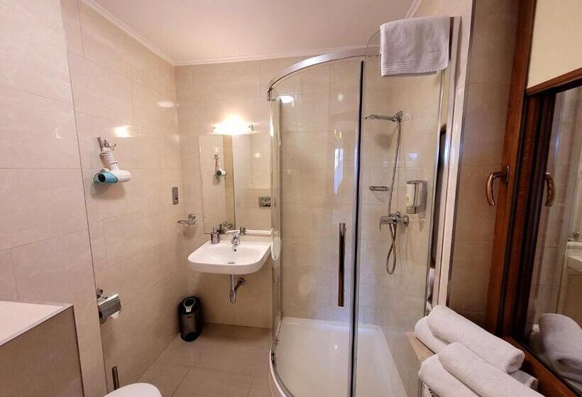 ベーシックルーム, Rezydencja Leśny Dwór