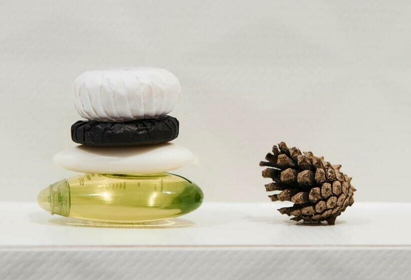 带露台的小型套房, Wave Międzyzdroje Resort & Spa