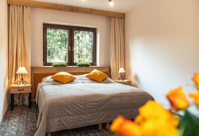 استودیو استاندارد با بالکن, Pensjonat Litworówka Wellness&spa