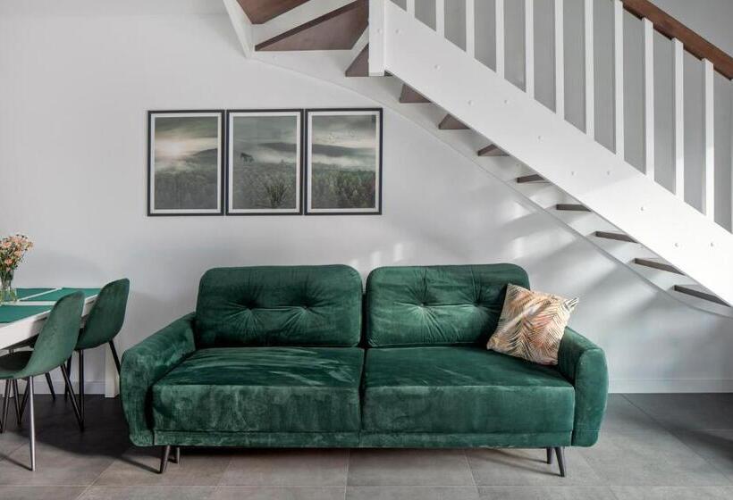 Номер Дюплекс, Apartamenty Zielona Lipka