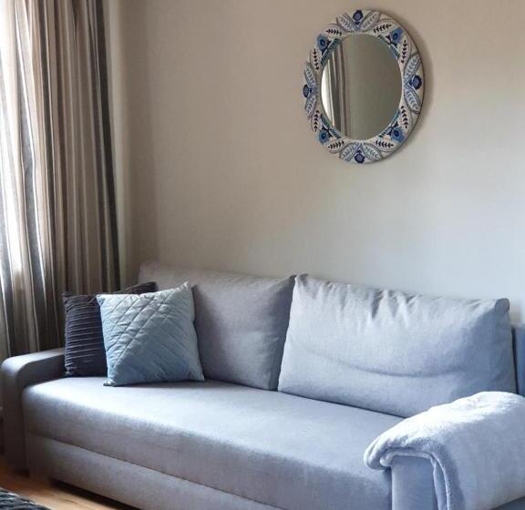 豪华三人间, Majątek Morgi