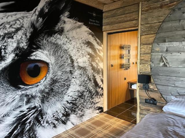 جناح مطل على البحيرة, Ostoja Spokoju