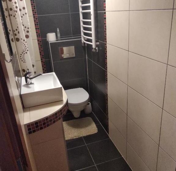 Номер Стандарт, U Janka