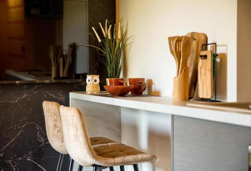 استودیو استاندارد با چشمانداز, Willa Królewska