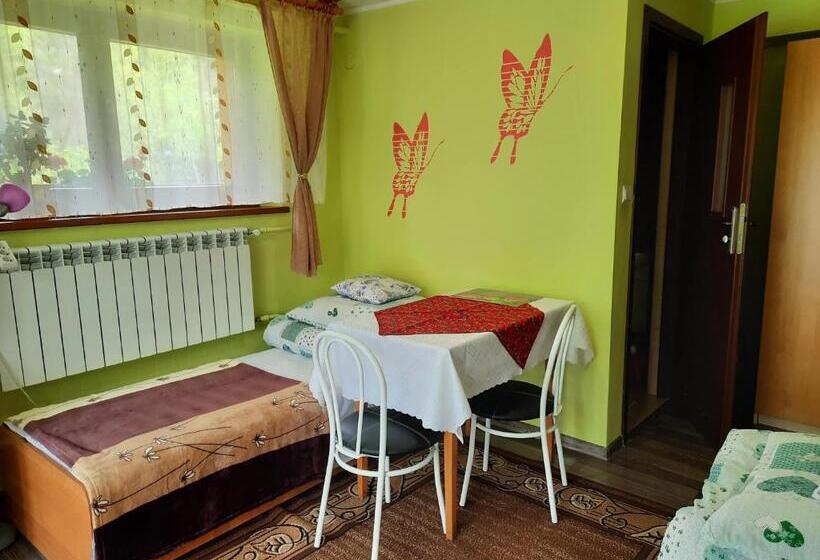 Номер Стандарт Вид на Сад, Pokoje U Zajdy