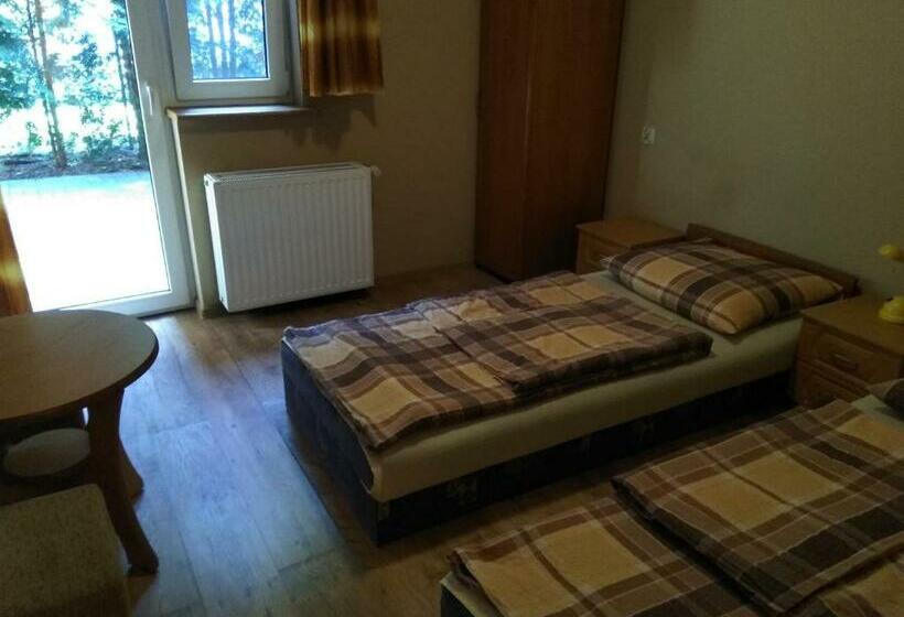 テラス付き１ベッドルームアパートメント, Zajazd U Doktora