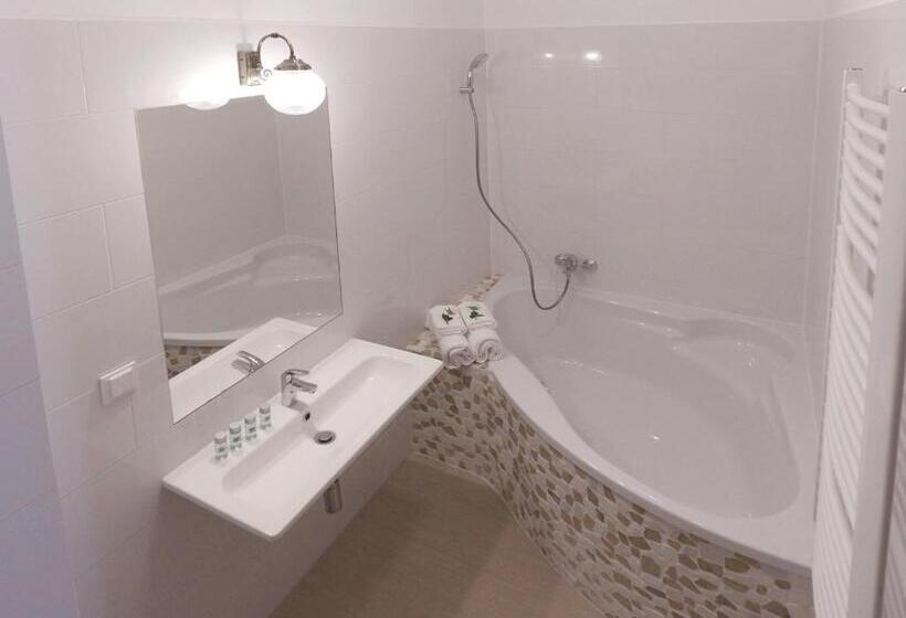 آپارتمان 1 خوابه با تراس, Dwór I Dworek Leszczowate Wellness & Spa