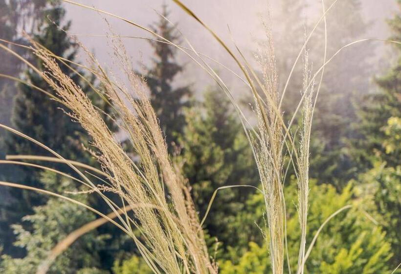 آپارتمان اکونومی 1 خوابه, Leśna Kąpiel