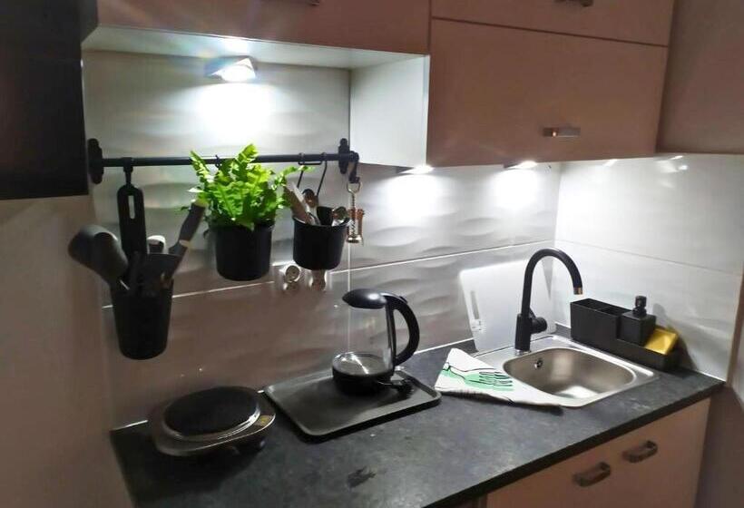 デラックスルーム, Willa Gościnny Próg