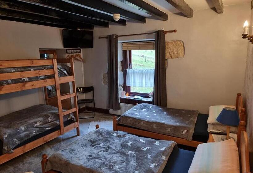 Семейный Номер, B&b Drum Farm