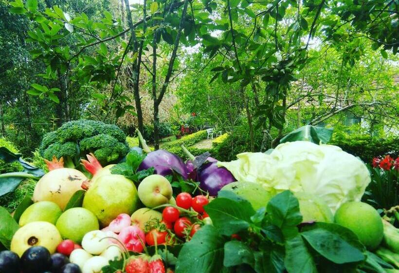 １ベッドルームハウス, Ambady Estate