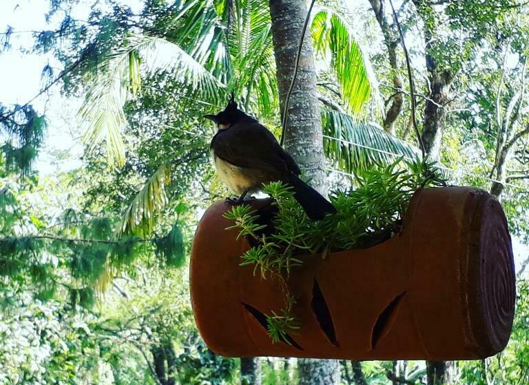 １ベッドルームハウス, Ambady Estate