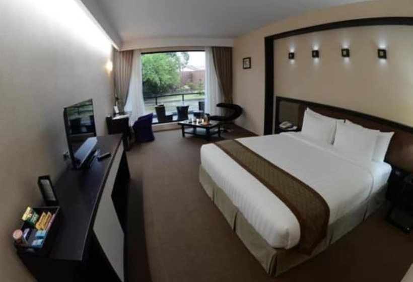 سوئیت با بالکن, Avenue 64