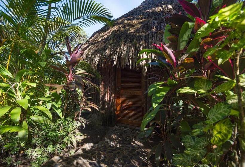 小室, Gaia Riverlodge