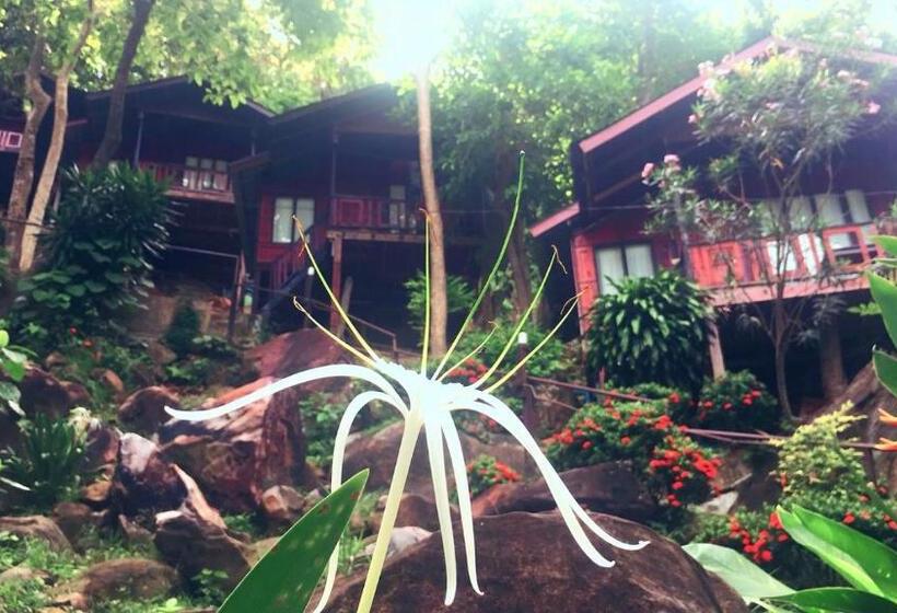 디럭스 룸, Phi Phi Green Hill Resort