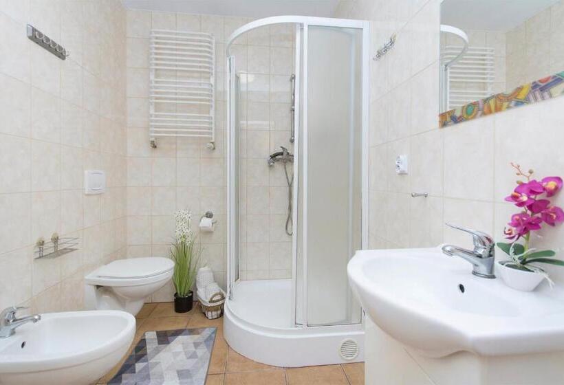 استودیو خانوادگی, Akademikus Toruń