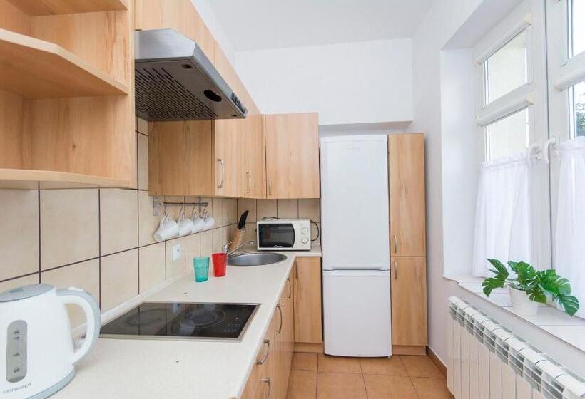 استودیو خانوادگی, Akademikus Toruń