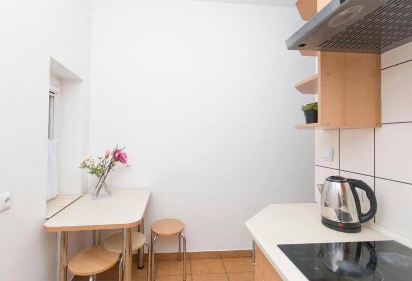 اتاق خانوادگی, Akademikus Toruń