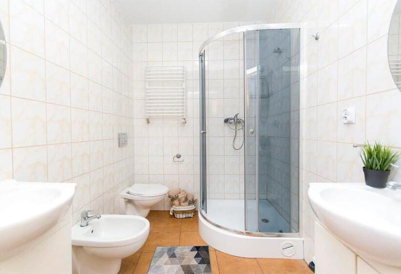 اتاق خانوادگی, Akademikus Toruń