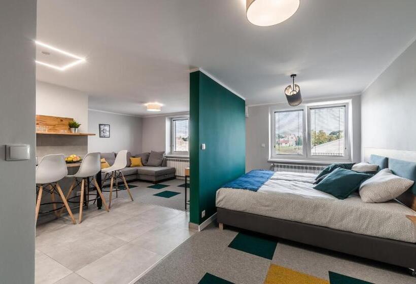 شقة ديلوكس غرفة واحدة, Apartamenty Medyka Park