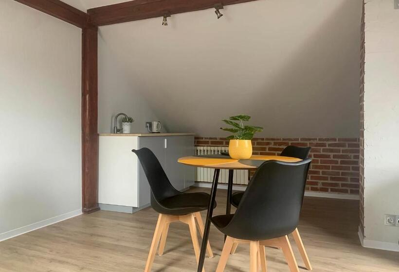 غرفة قياسية رباعية, Aparthotel Studio