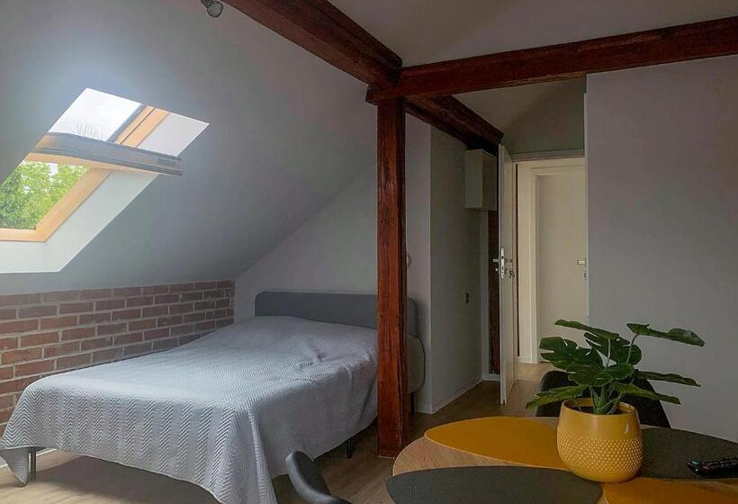 غرفة قياسية رباعية, Aparthotel Studio