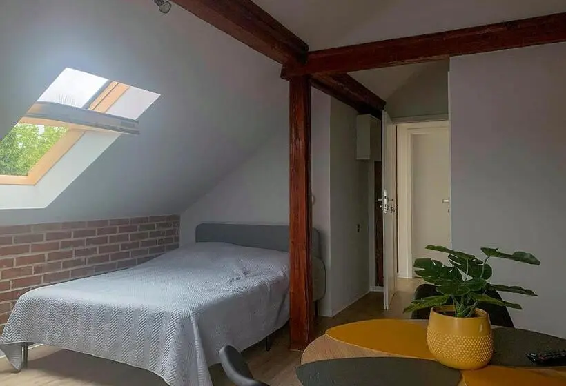 اتاق استاندارد چهار تخته, Aparthotel Studio
